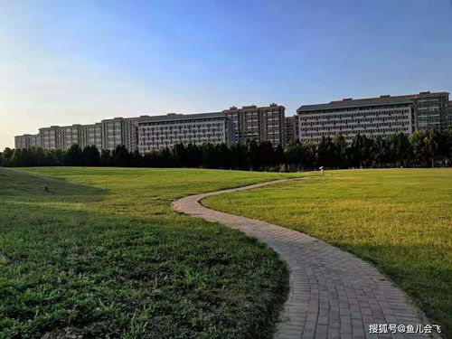 商丘有什么大学或者学院