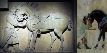 中国古代十大名马都有哪些 赤兔 的卢 乌骓 绝影 