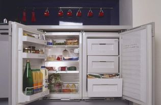冰箱很久不用重新开怎么用