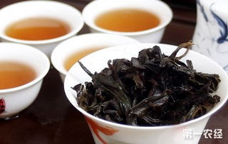 水仙茶属于什么茶,平潭水仙属于什么茶？