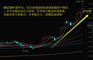 什么股票能集中看到相关板块的股票代码和名称？