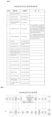 开发区承诺制实施方案模板(开发区承诺制实施方案模板怎么写)