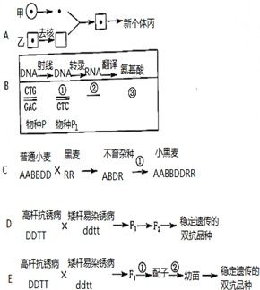 为什么碳在细胞总组成中的比例比在干重中的比例小