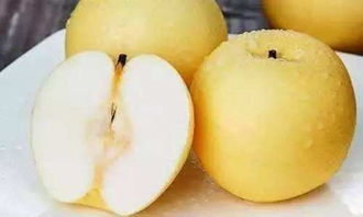 梨是什么季节的水果,梨子什么时候传入中国的？