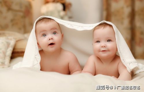 牛年出生的宝宝起名测名 唯美清新的双胞胎女孩怎么起名