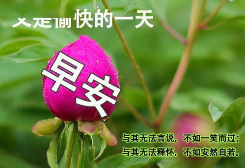 5月最新特别漂亮的早上好动态表情图片鲜花带字 温馨早上好图片带字句子