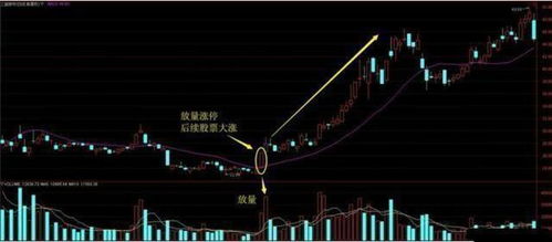 判断：可转债是否涨停