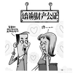 婚前财产怎样认定