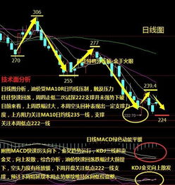 多空平衡 空头回补后面的数据如何解释？