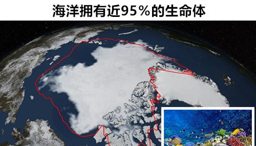 海洋冷知识 与海洋密切相关的,9个让人感到惊讶的有趣事实