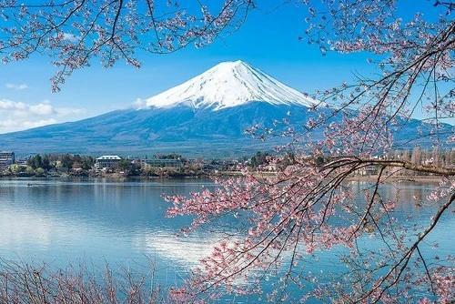 日本的富士山,到底归谁所有,为啥日本政府每年要缴纳巨额租金