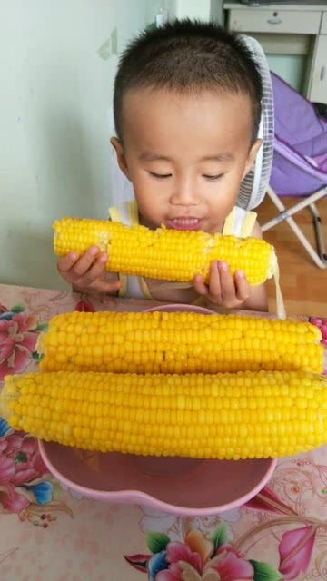 开始啃玉米了,宝宝很喜欢吃 