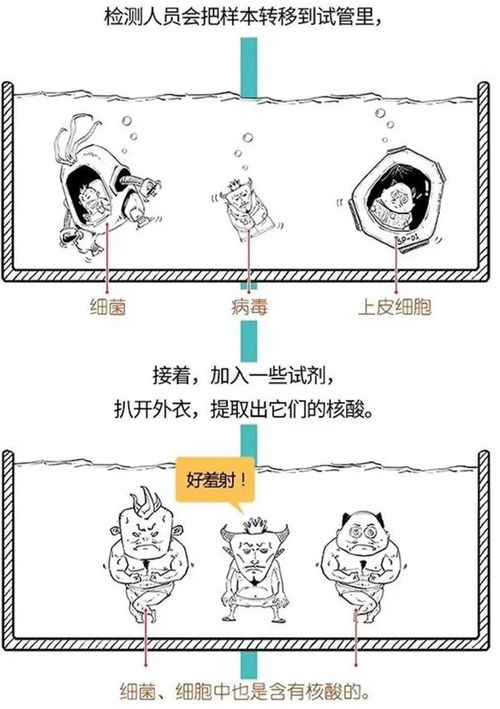 咽拭子阳性 是啥意思