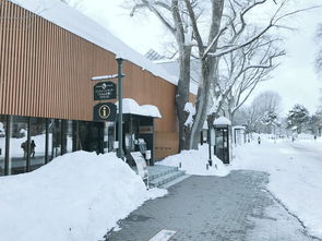 扶桑之北,一场无关风月只有雪花的旅程 北海道 札幌 小樽 ,札幌自助游攻略 