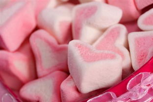 赵丽颖 向往的生活里面吃的那个粉色的类似糖果的东西在哪买啊 