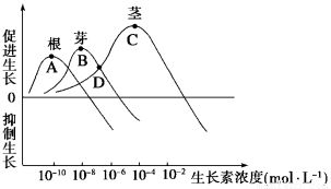 生长素的化学本质