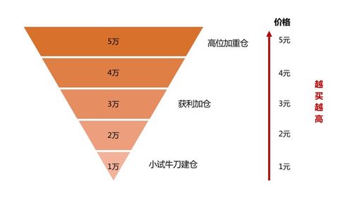 什么是“倒金字塔”式投资？