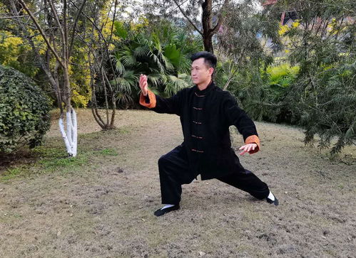 杨式太极拳第七代传人胡太均入选 中国武术名家人才数据库
