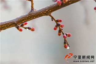 春雨润无声