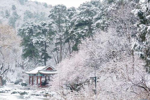 来北京旅游必去的景点之香山公园旅游攻略 低音号免费语音导游