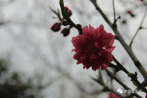 雨后骄阳霞满天 诗词精编