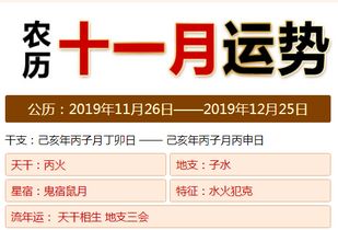 精准预报 2019年12月十二生肖运势 男女分开解读