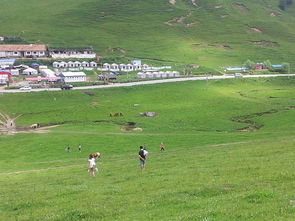 2019关山草原游玩攻略,关山牧场也是西北内陆地区唯... 