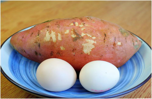 地瓜鸡蛋可以一起吃吗,红薯能跟鸡蛋一起吃吗 红薯和鸡蛋可以一起吃吗