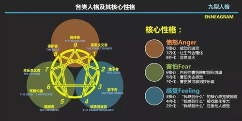 经典的九型人格分类系统,你是哪一款