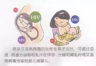 原创HIV感染人群母婴阻断生育指导