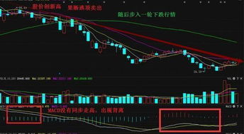 为什么我的股票原本有1万5千支，今天买了8000支，卖了8千支，持仓显示剩余7000支，应该还是原