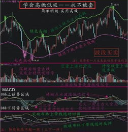 股票买了以后想抛可以随时抛么