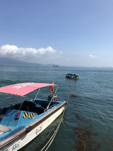 深圳最美海上日出 鹿嘴山庄