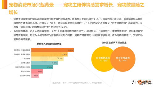 IT桔子 2020年中国宠物消费市场分析报告