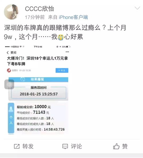 一个车牌指标1年价格,如何选择车牌租赁公司?