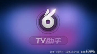 兔子桌面tv版