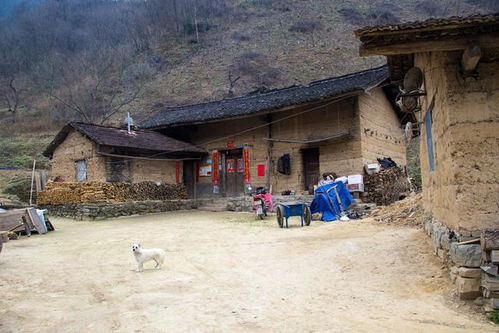 行走秦岭坪沟 厨房里冒出一楼炊烟,山腰这一户人家居然还住着人