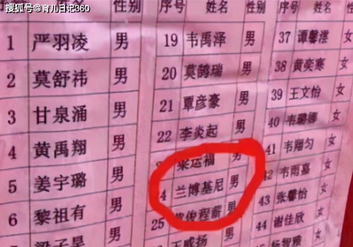 中学生因 姓名 走红,豪横程度5颗星,或许是 全国独一份 的名字