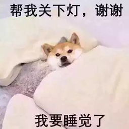 冷知识 我晚睡我有理 关于睡眠的十条冷知识