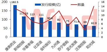 深高发债问题