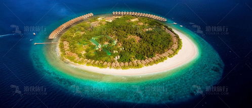 如何选择靠谱的旅行社预订马尔代夫五星岛机票（马尔代夫5日游多少钱）