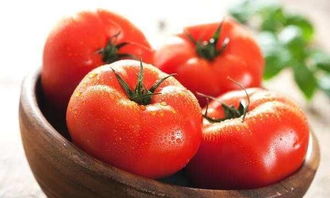 7月份种番茄还来得及吗 七月份能种露天西红柿吗