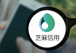 马云告诉您,怎么提高支付宝芝麻信用分