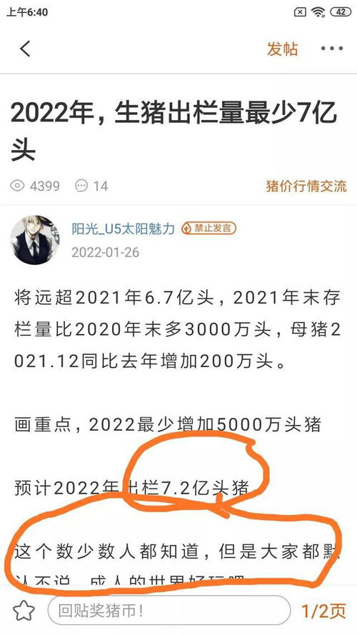 2022年最准猪价预测