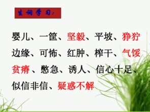 父亲的菜园名言