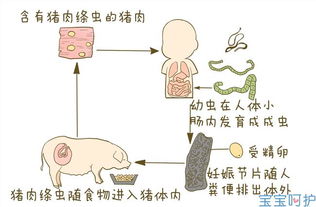 肚子蛔虫症状大人蛔虫病症状解析几个小妙招教你识别肚子里有蛔虫 ... 
