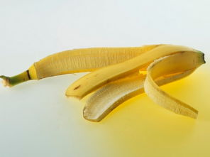 香蕉皮做花肥靠谱吗 靠谱,但香蕉皮需要沤肥 