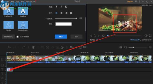使用视频编辑王在视频中添加文字的操作方法