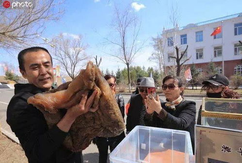 黑龙江男子在四五米深地下发现 长生不老仙药 丨科学家 是个迷