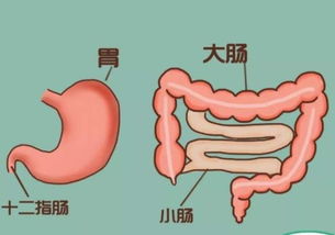 宝宝一到晚上就哭闹,主要有3个原因,家长心里要有数